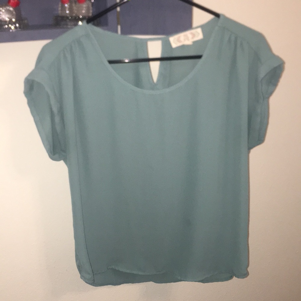 Pink rose teal blouse